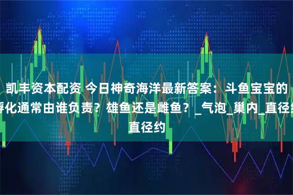 凯丰资本配资 今日神奇海洋最新答案：斗鱼宝宝的孵化通常由谁负责？雄鱼还是雌鱼？_气泡_巢内_直径约