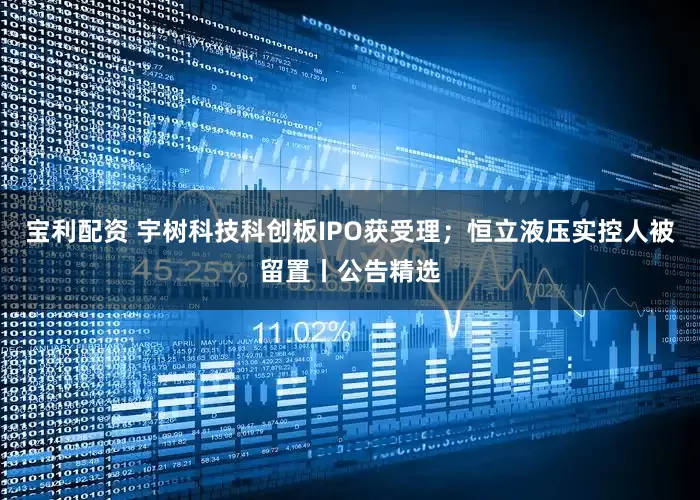 宝利配资 宇树科技科创板IPO获受理；恒立液压实控人被留置丨公告精选